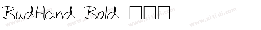 BudHand Bold字体转换